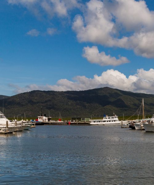 harbour with boats